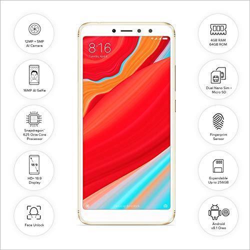 Redmi Y2 (Gold, 4GB RAM, 64GB Storage) – Triveni World