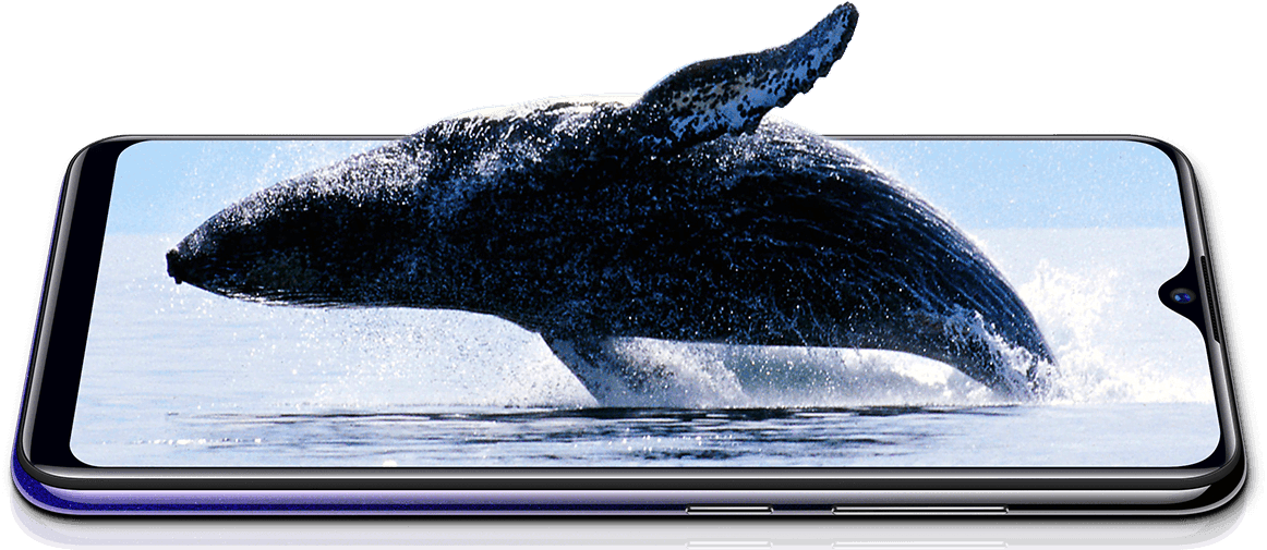 (Refurbished) Vivo Y95 (Starry Black, 128 GB) (6 GB RAM) - Triveni World